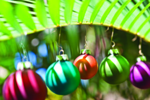 Holiday ornaments hanging on a palm leaf