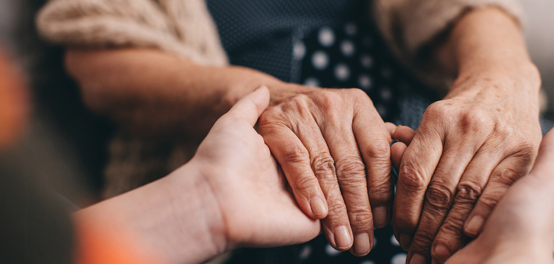 Close-up of elderly person’s hands being held by a caregiver, showing support and care.